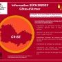 carte infographie